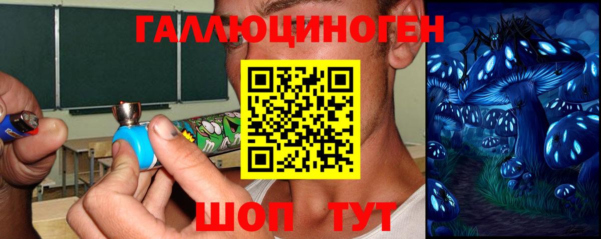Берёзовский  Псилоцибиновые грибы ЛСД  Галлюциногенные грибы прущие грибы  Вход с VPN 